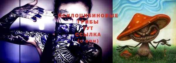 прущий лед Володарск