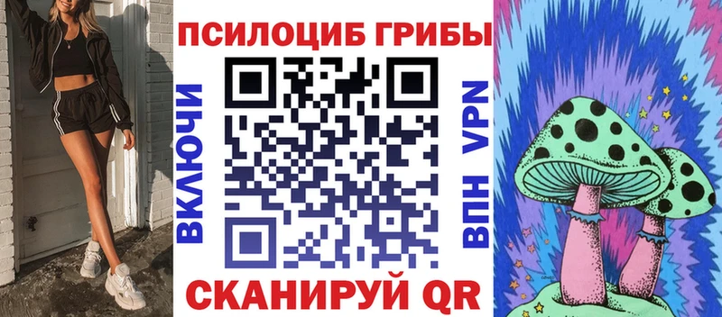 Псилоцибиновые грибы Psilocybe Дзержинский