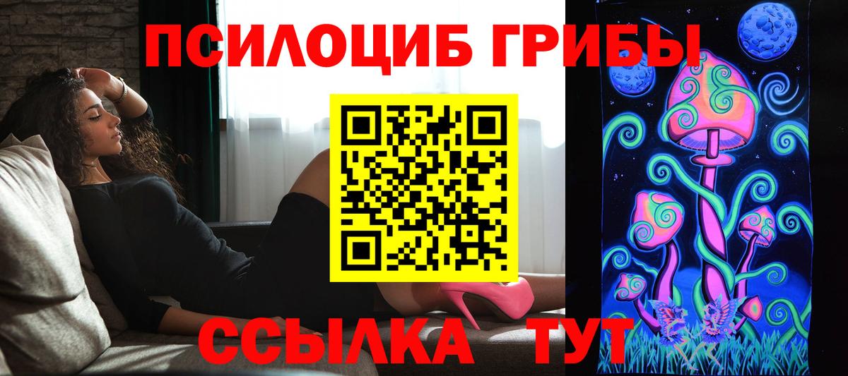 Псилоцибиновые грибы прущие грибы Дзержинский
